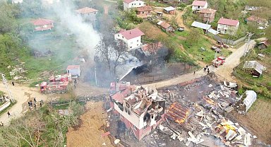 Köyde çıkan yangında çok sayıda yapı küle döndü, 4 hayvan telef oldu