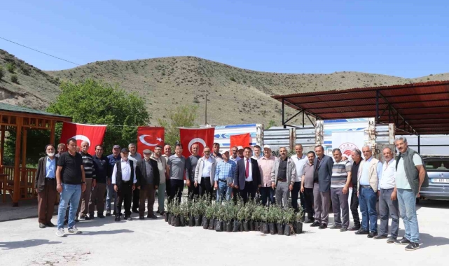 Oltu'da çiftçiye 1300 zeytin fidanı