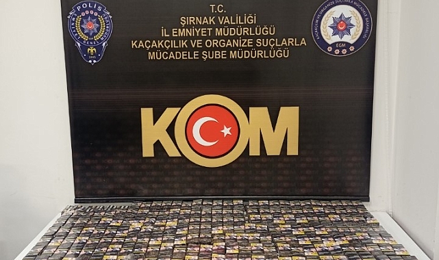 Şırnak'ta asayiş ve terör operasyonu: 46 gözaltı