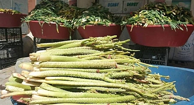 Yaylaların bize sunduğu şifa kaynağı Işgın'ın faydalarını biliyor musunuz?