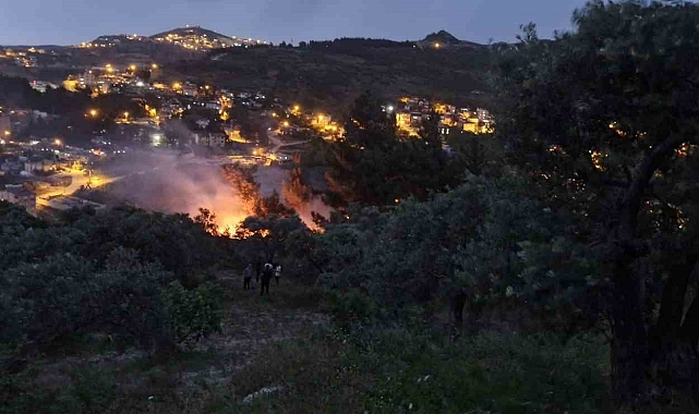 Yıldırım düşen ağaçlık alanda yangın çıktı