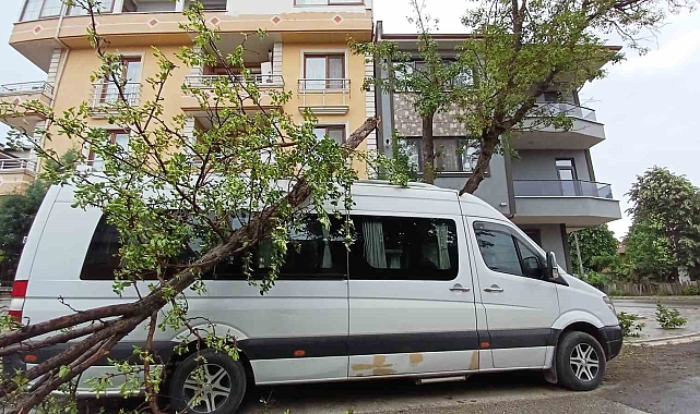2 araç, fırtınanın devirdiği ağaçların altında kaldı