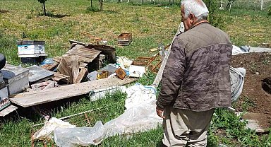 Aç ayı arı kovanlarını parçaladı