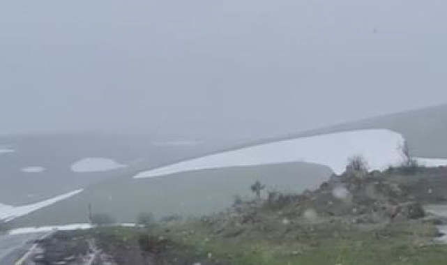 Ardahan'ın yüksek kesimlerinde kar ve sis etkili oldu