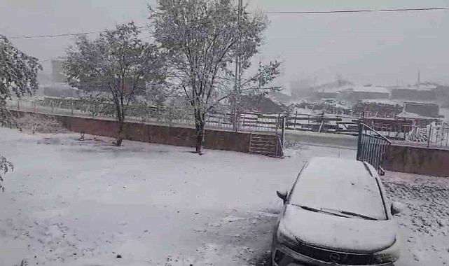 Aşkale'de kar yağışı etkili oldu