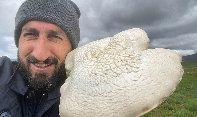 Bingöl'de kilogramlık mantar bulundu
