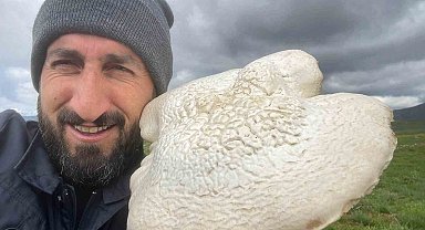 Bingöl'de kilogramlık mantar bulundu