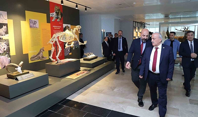 Böcek ve kurutulmuş bitki örnekleri müzede sergileniyor