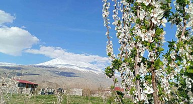 Bungalov evleri turistleri ağırlıyor