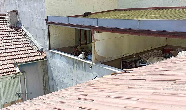 Çatıda mahsur kalan kedi, bir haftadır kurtarılmayı bekliyor