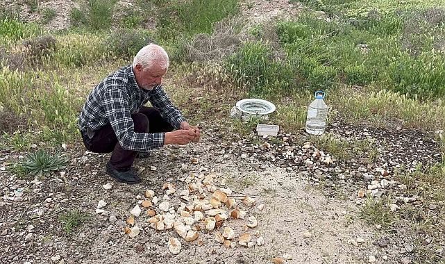 Çöplerden topladığı gıdalarla hayvanları besleyen adam, Külliye'de ağırlanacak