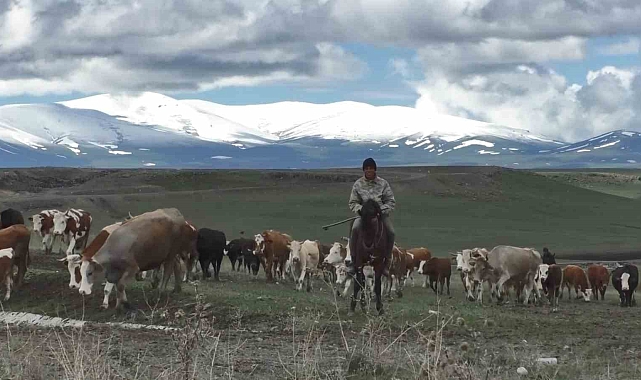 Dağların zirvesi beyaza büründü