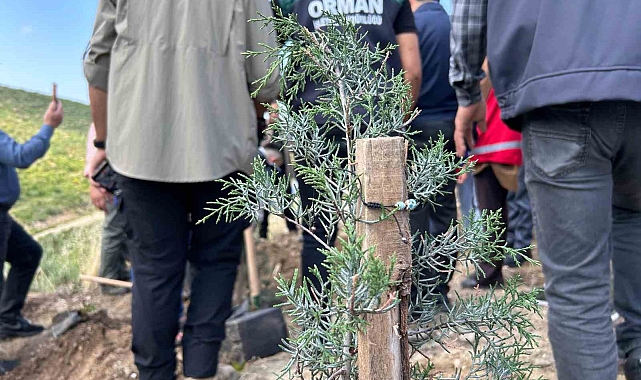 Diktiği ağaçlara, hatıra olarak bilekliğini bıraktı