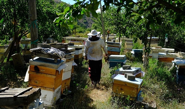 Doğu ve Güneydoğu Anadolu'da, Bal arılarının yayla yolculuğu başladı