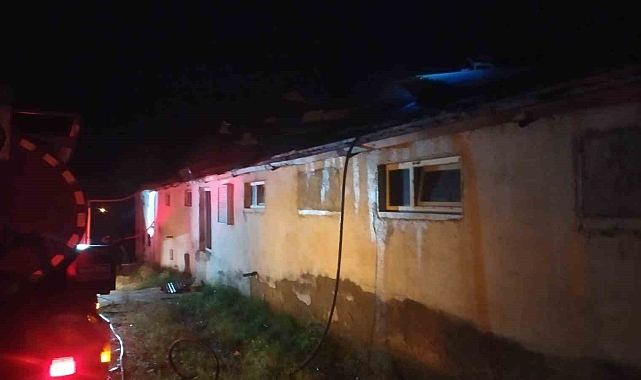Elazığ'da tavuk çiftliğinde çıkan yangında yüzlerce tavuk telef oldu