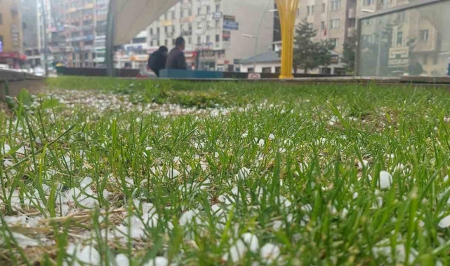 Erzurum'da dolu etkili oldu