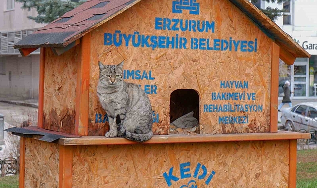 "Erzurum'daki her can bize emanet"