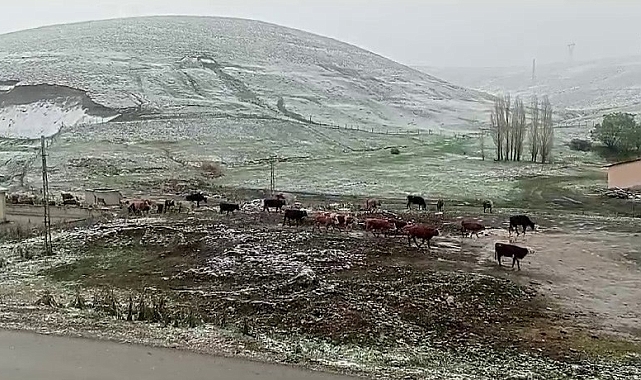 Erzurum'un Tekman ilçesinde, kar yağışı etkili oldu