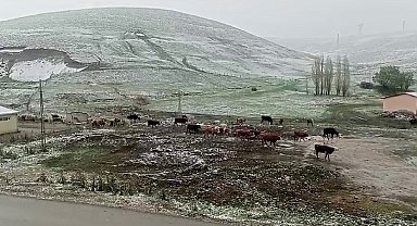 Erzurum'un Tekman ilçesinde, kar yağışı etkili oldu