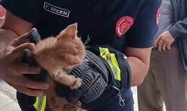 Gider borusuna sıkışan yavru kedinin imdadına, itfaiye yetişti