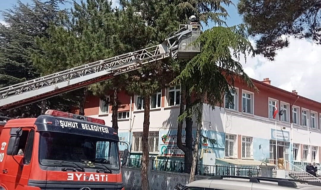 İtfaiye ekipleri, kedinin imdadına koştu