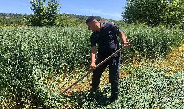 Jandarma, çalışmaktan bitkin düşen çiftçinin yardımına koştu