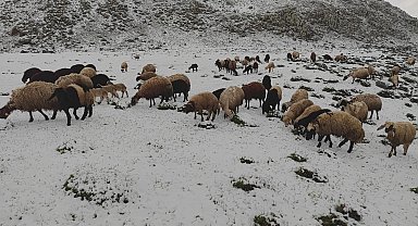 Kar yağışı, besicilere zor anlar yaşattı
