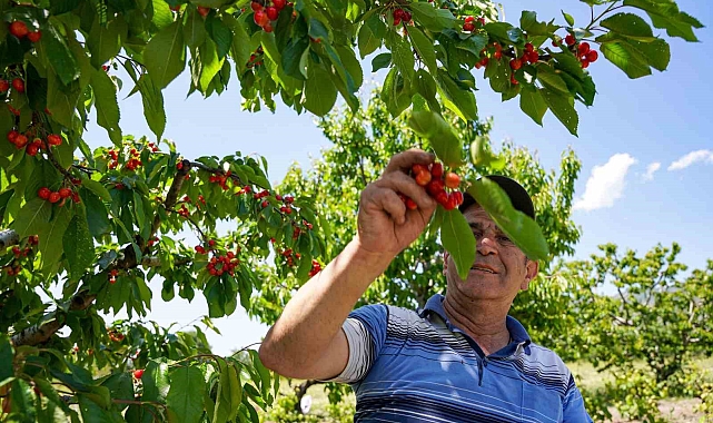 "Kararında deprem etkili oldu"