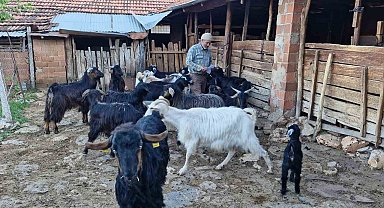 Keçilerini otlatırken şiir yazıp, türkü besteliyor