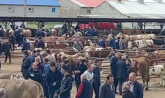 Kurban bayramına sayılı günler kala, kurulan pazarlara yoğun ilgi var