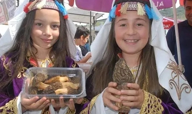 Kuzugöbeği mantarı, yapılan ihracatla Avrupa'nın dört bir yanına ulaştırılıyor