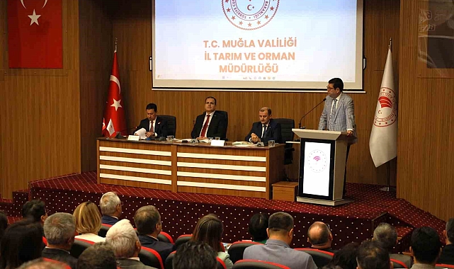 Muğla'nın 'Su'yu masaya yatırıldı