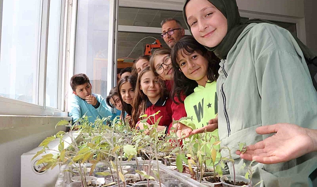 Öğrenciler okulda ata tohumu ekip fide yetiştirdi
