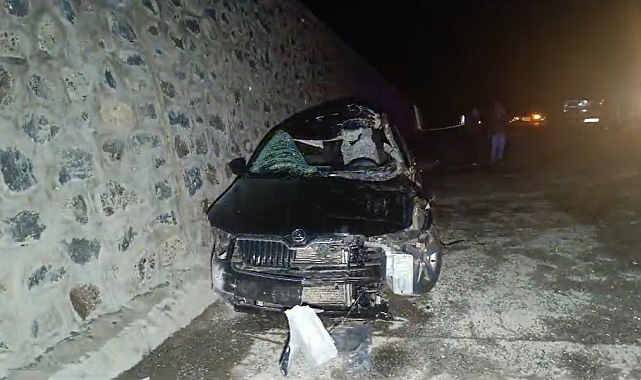 Otomobil ata çarpması sonucu 1 kişi hayatını kaybetti