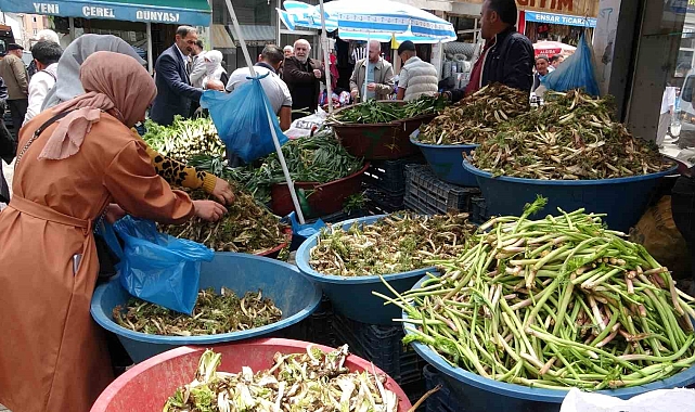 Sofraların vazgeçilmezi otlu peynire tat veren bitkiler, yoğun ilgi görüyor
