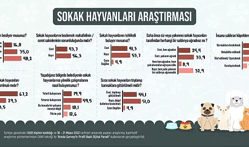 Üç kişiden ikisi "Çözüm kısırlaştırma" diyor