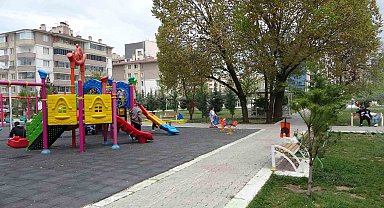 Uzmanlardan kene uyarısı