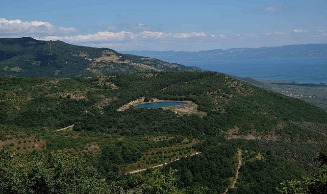 Artan su seviyesi çiftçinin yüzünü güldürdü