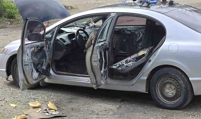 Ayı, intikam almak için geri gelip otomobilin koltuklarını parçaladı