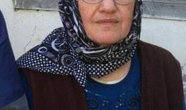 Bahçede çalışan kadını yılan ısırdı