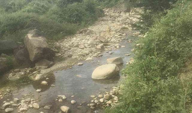 Balık tutmaya çalışan şahıs, boğularak hayatını kaybetti