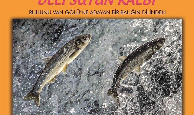 Başkan Yılmaz, balık göçünü izledi