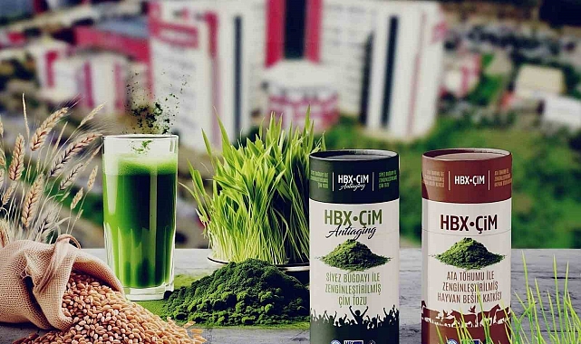 Buğday Çiminin Yaşlanmayı Geciktirdiği Belirtildi