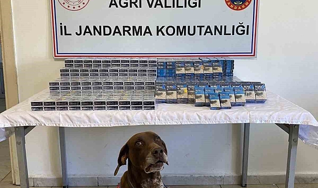 Doğubayazıt ilçesinde yol kontrolünde, 1294 paket kaçak sigara yakalandı