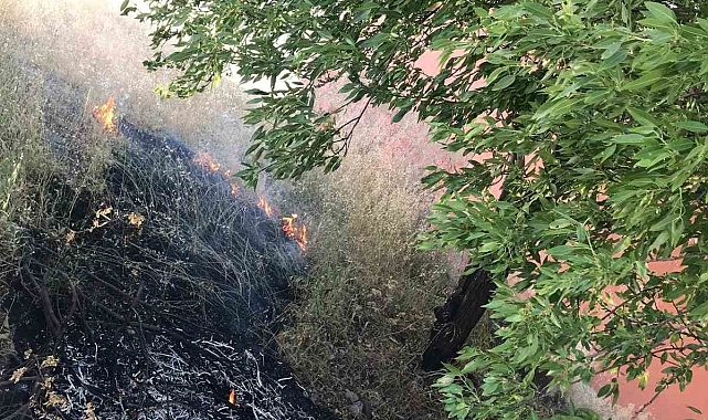 Elazığ'da ağaçlık alanda yangın çıktı