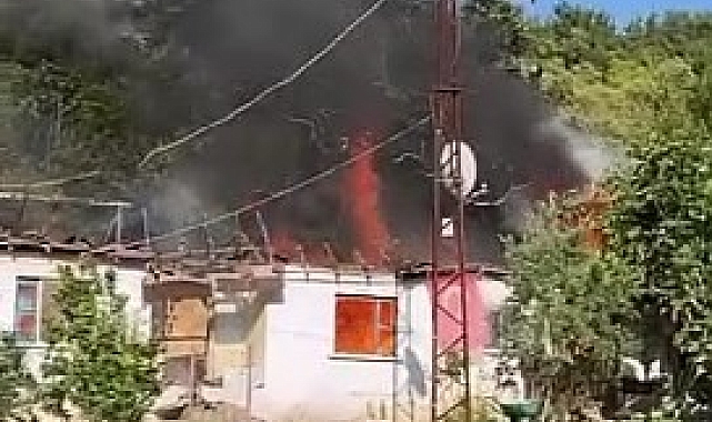 Elektrik kontağı yangına sebep oldu