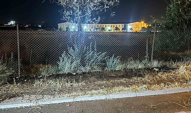 Gece saatlerinde havai fişek atarak yangın çıkardılar