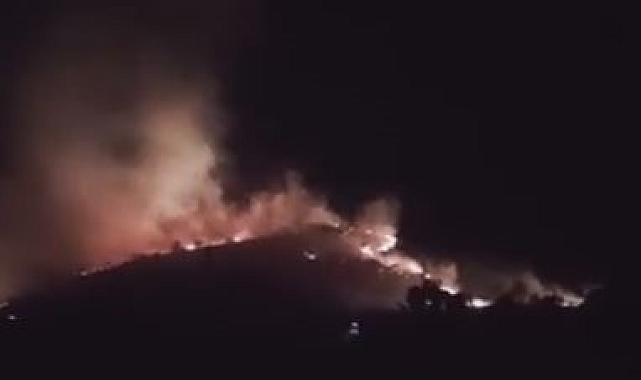 Gece saatlerinde ormanlık alanda çıkan yangın söndürüldü