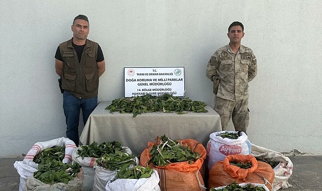 Hakkari soğanını İran'a götürmek isteyen adama 1 milyon 161 bin 423 TL para cezası verildi