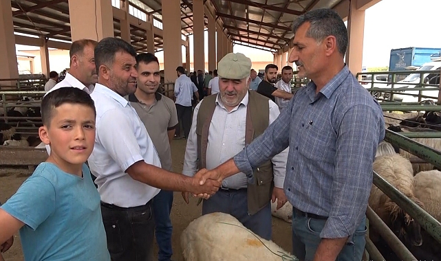 Hayvan pazarında hareketlilik arttı